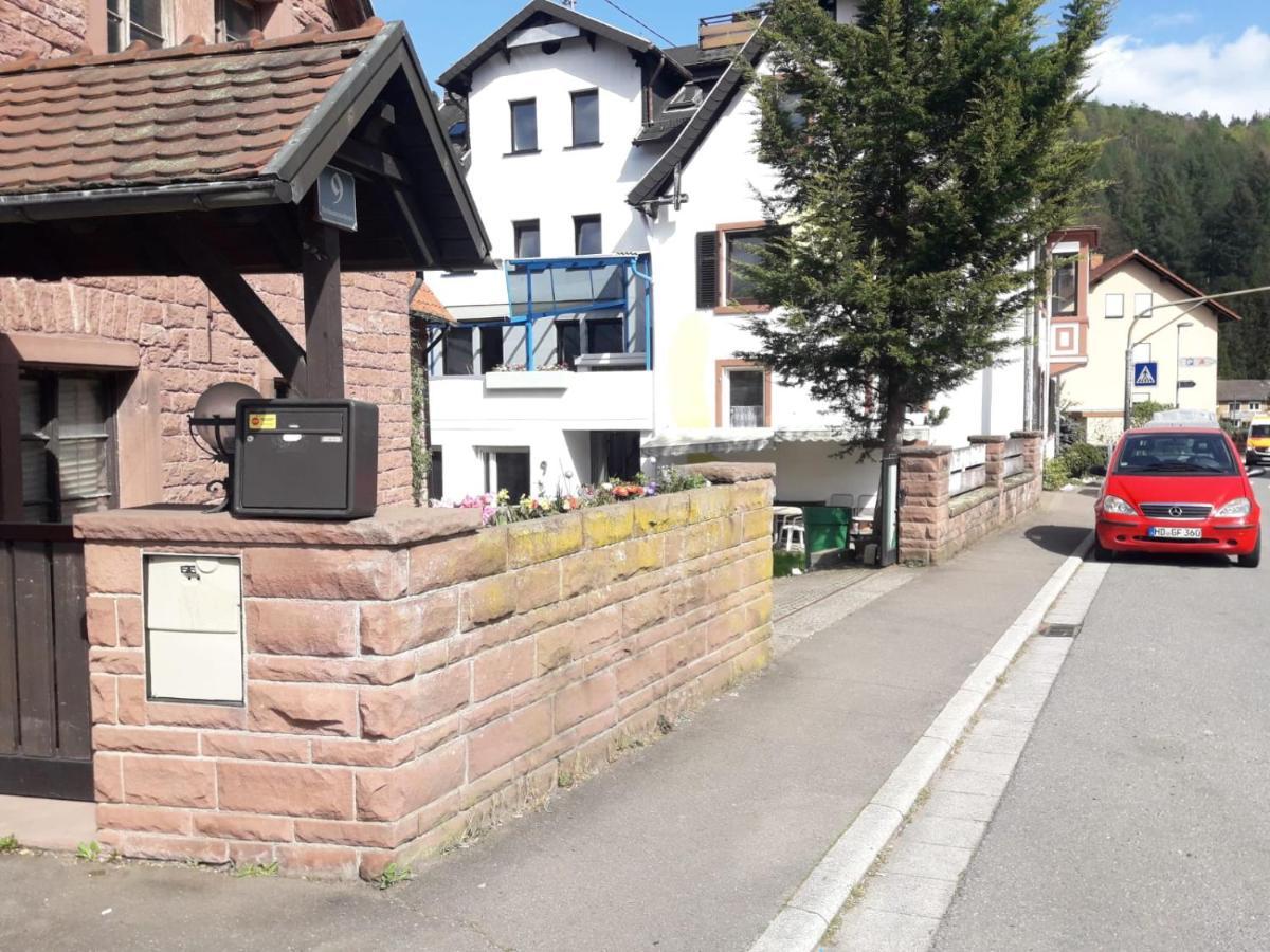 Grosse Wohnung Im Odenwald 1 Шёнау Экстерьер фото